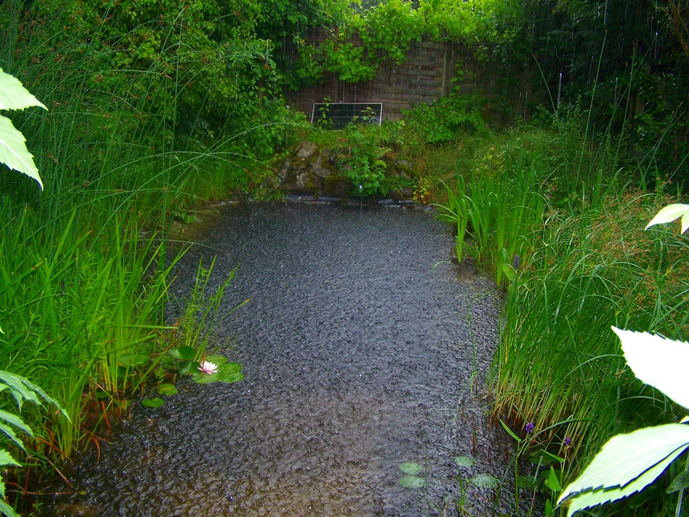 Badeteich im Regen